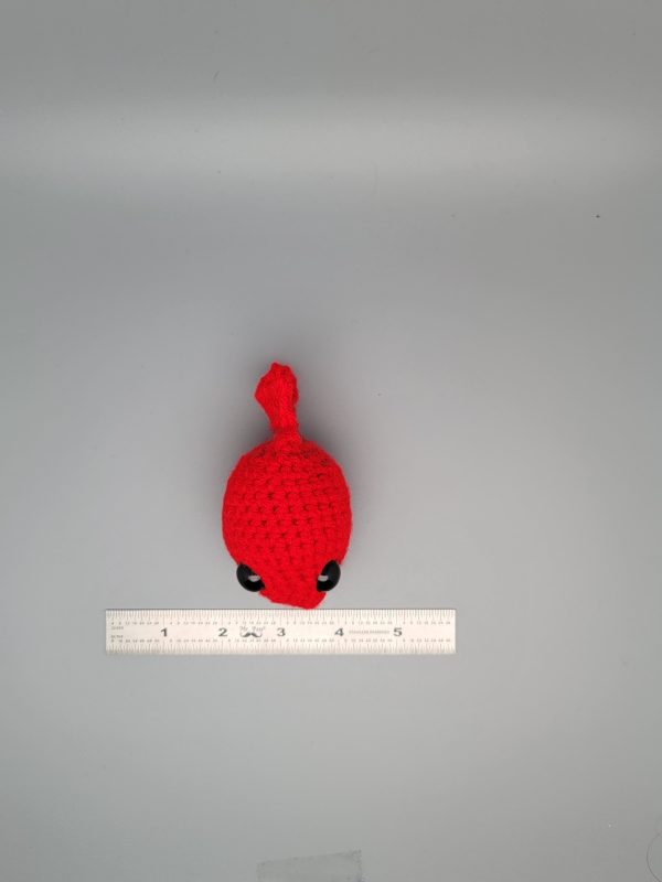 Fish - Image 5