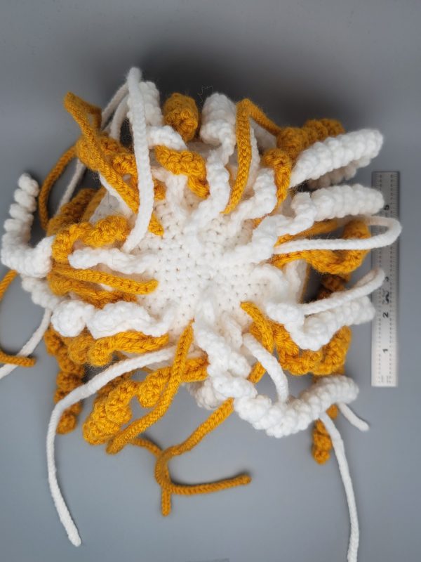 Large 2 tone Jellyfish - Image 3