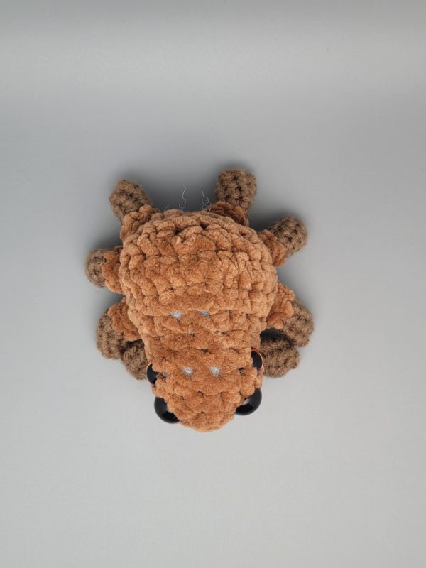 Frankie - Image 11