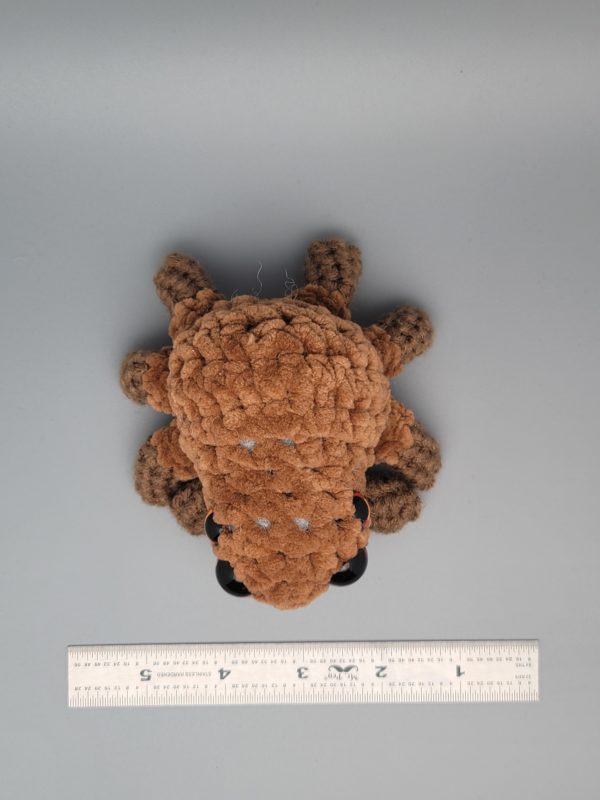 Frankie - Image 12