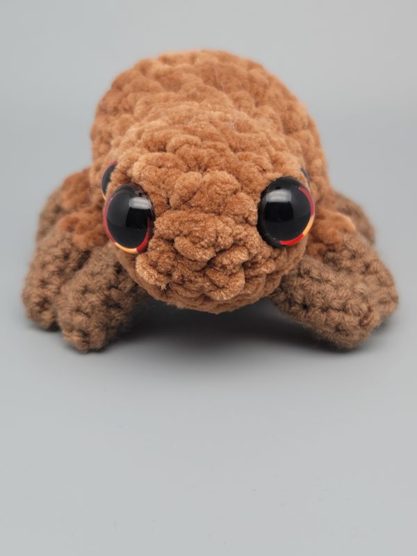 Frankie - Image 6