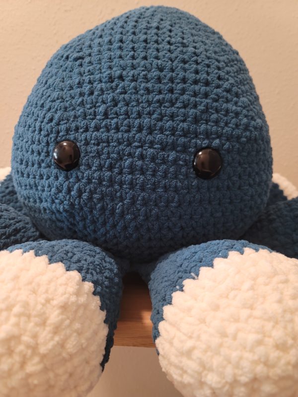 Giant Octopus